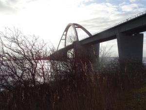 un puente sobre un cuerpo de agua con hierba alta en Ferienwohnungen Tietgen, en Katharinenhof