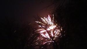 Ein Baum mit Feuerwerk explodiert im Nachthimmel in der Unterkunft Ferienwohnungen Tietgen in Katharinenhof