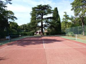 einen Tennisplatz mit einem Baum im Hintergrund in der Unterkunft La Ginelle - Appartement Savane in Airoux