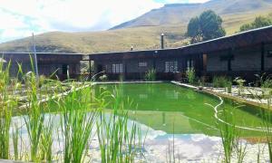 un bâtiment avec une piscine d'eau verte en face de celui-ci dans l'établissement Alpine Swift Trails, à Rhodes