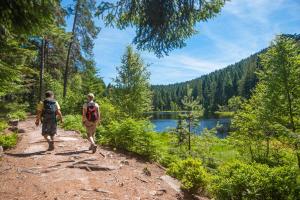 two people walking on a dirt trail near a lake at Abnoba Mons Design Apartment Lenzkirch in Lenzkirch