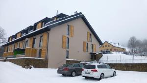 Apartmán u svahu Dolní Morava v zimě