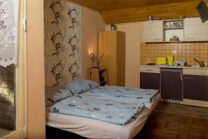 a small room with a bed in a kitchen at Vadásztanya Apartmanházak in Siófok