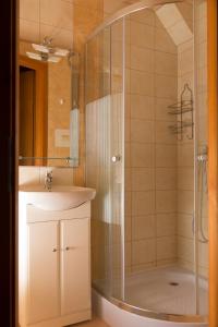 a bathroom with a shower and a sink at Vadásztanya Apartmanházak in Siófok