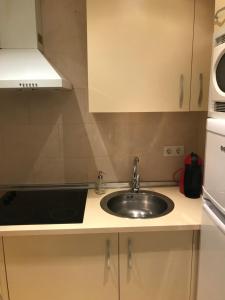 kuchnia ze zlewem i mikrofalówką w obiekcie Ílios Apartamentos w Maladze