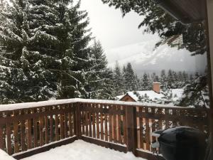 Apartmány Pinie Lipno v zimě