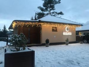 Apartmány Pinie Lipno v zimě