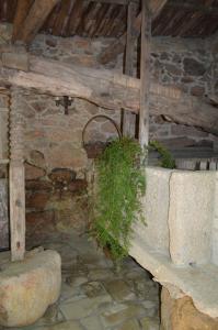 Posedenie v ubytovaní Casa Loureiro