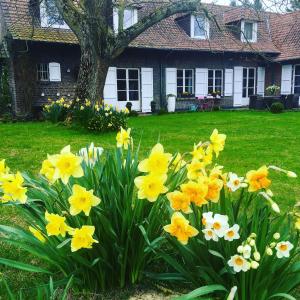 Fotografie z fotogalerie ubytování Le Clos de Bénédicte v destinaci Bondues