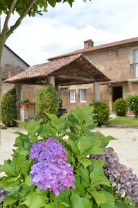 Vonkajšia záhrada v ubytovaní Casa Loureiro