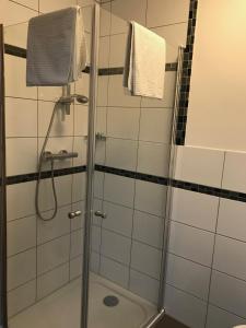 a shower with a glass door in a bathroom at Apartment-Pension Schwalbennest in Herzogenaurach