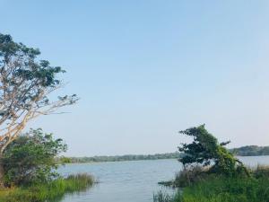 een uitzicht op een grote hoeveelheid water bij Nimsara Holiday Resort in Anuradhapura