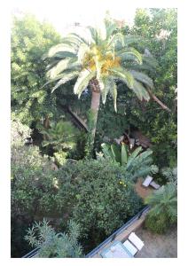 A garden outside La Maison de Tanger