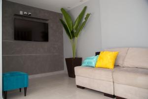a living room with a couch and a tv at REF House Barra Da Tijuca in Rio de Janeiro