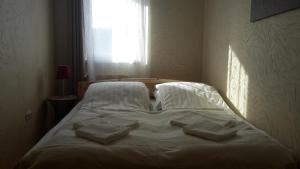 1 cama con 3 almohadas en un dormitorio en Aden Apartment free parking, en Budapest