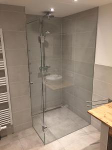 Koupelna v ubytování Apartment Hermine