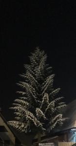 Fotografia z galérie ubytovania ARKA POKOJE DE LUX v destinácii Kościelisko