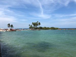 a beach with palm trees and boats in the water at Pousada e Camping América in Morro de São Paulo