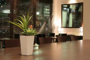 Fotografie z fotogalerie ubytování Hotel Vista Ebina v destinaci Ebina