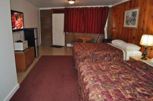 TV a/nebo společenská místnost v ubytování Golden Lion Motel