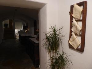 サン・ロレンツォ・ディ・セバートにあるMessnerwirt Onachの鏡と植物の壁掛け廊下