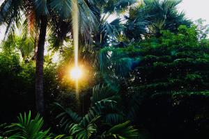 Gallery image of Allens home stay in Jaffna