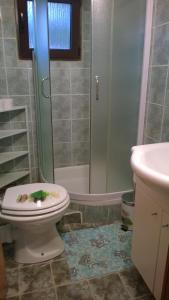 a bathroom with a toilet and a shower and a sink at Apartman Dolac in Karlobag