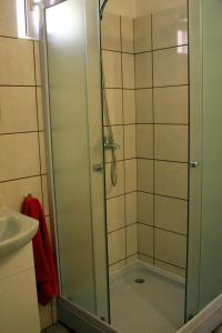 a shower with a glass door in a bathroom at Pensiunea Bobo Panzio in Sfântu-Gheorghe