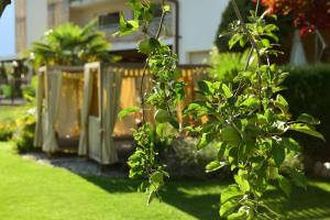 Zahrada ubytování Hotel Pfeiss