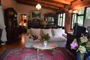 a little girl laying on a couch in a living room at Nature's Valley Health Retreat A Hide away in the Forest in Natureʼs Valley