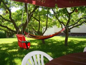 a hammock hanging from a tree in a yard at Cichy Zakątek in Sianozety