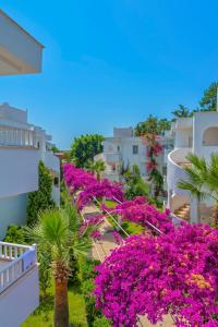 Blick vom Balkon auf Blumen und Gebäude in der Unterkunft Bendis Beach Hotel in Akyarlar