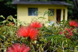 Um jardim em Pousada Bela Vista
