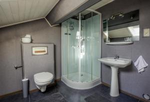 ein Bad mit einer Dusche, einem WC und einem Waschbecken in der Unterkunft Le Saint Urbain in Nollevaux