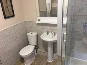 La salle de bains est pourvue de toilettes, d'un lavabo et d'une douche. dans l'établissement Cosy Apartment in Private Courtyard, à Preston