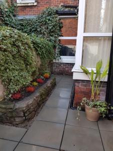 une terrasse couverte avec des plantes, une fenêtre et un jardin fleuri dans l'établissement Cosy Apartment in Private Courtyard, à Preston