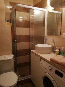 a bathroom with a shower and a toilet and a sink at Imperia Apartments in Belgrade