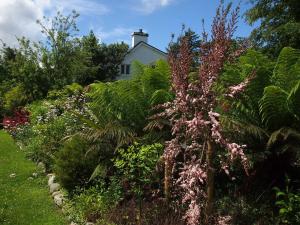a small garden with flowers growing in it at Ballycommane House & Garden in Durrus
