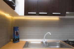Kuchyňa alebo kuchynka v ubytovaní RiverView apartment + 21 fotografií