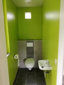 Vonios kambarys apgyvendinimo įstaigoje La Bergerie de Ster