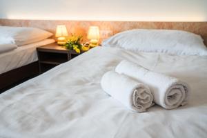 Postel nebo postele na pokoji v ubytování Hotel Na Farmě Choťovice