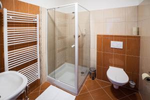 Koupelna v ubytování Hotel Na Farmě Choťovice