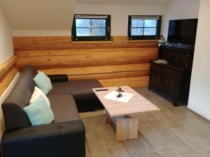 a living room with a couch and a table at Ferienwohnungen Blockhaus - Zwergenhäusl Grünau im Almtal in Grünau im Almtal