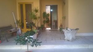 a hallway with potted plants in a building at B&BGalatina1 CIS in Galatina