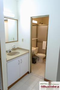 een badkamer met een wastafel, een toilet en een spiegel bij Hotel Alhambra in Granada