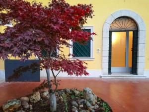 Foto dalla galleria di Villa Montenero a Cavalcaselle