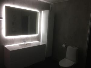 ein Badezimmer mit einem Waschbecken, einem Spiegel und einem WC in der Unterkunft Aurora Apartment Inari in Inari