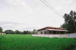 una casa en un campo de césped verde en ฺBaan Tonglong Homestay en Hang Dong