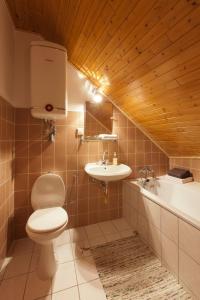 ein Bad mit einem WC und einem Waschbecken in der Unterkunft Haus am Giebel in Heimbach