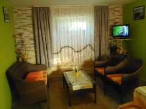 TV a/nebo společenská místnost v ubytování Apartment Tomašević